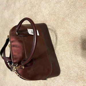 Coach Metallic Cherry Bag